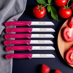 Solingen Meyve Bıçağı Sapı Simli Pembe Bıçak (6 Adet Gönderilir)