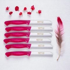 Solingen Meyve Bıçağı Sapı Simli Pembe Bıçak (6 Adet Gönderilir)