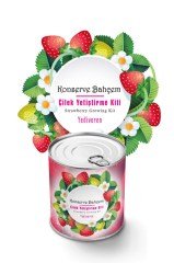 BUFFER® Konserve Bahçem Evde Konservede Çilek Yetiştirme Kiti