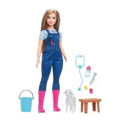 HRG41 Barbie 65.Yıl Deluxe Kariyer Bebekleri