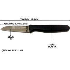Sürbisa 61007 6'LI Meyve Bıçağı 7 cm (Renk Seçenekli) Turkuaz