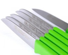 Sürbisa 61007 6'LI Meyve Bıçağı 7 cm (Renk Seçenekli) Yeşil
