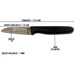 Sürbisa 61007 6'LI Meyve Bıçağı 7 cm (Renk Seçenekli) Yeşil