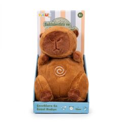 PL50123 28 CM IŞIKLI MÜZİKLİ PELUŞ OYUNCAK PELUŞ DUYGUSAL
