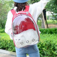 BUFFER® Şeffaf Astronot Kapsül Kedi Köpek Seyahat Yolculuk Fermuarlı Hava Alan Taşınabilir Sırt Çant