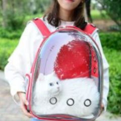 BUFFER® Şeffaf Astronot Kapsül Kedi Köpek Seyahat Yolculuk Fermuarlı Hava Alan Taşınabilir Sırt Çant