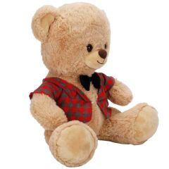 4810 SUN-JNH-PFF-SK PELUŞ AYI ELBİSELİ 32CM 2A