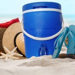 Alborz 15 LT Soğuk Su Piknik Termosu Piknik