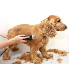 BUFFER® Köpek Traş Aleti Mepol 8008 Köpek Traş Makinesi